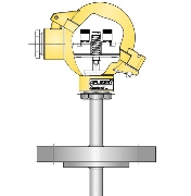 Flanged temperature sensor